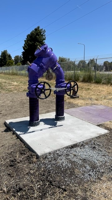 Reclaimed Water Backflow